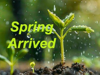 โลกที่ตื่นขึ้น: เฉลิมฉลองหลี่ชุน จุดเริ่มต้นของฤดูใบไม้ผลิ